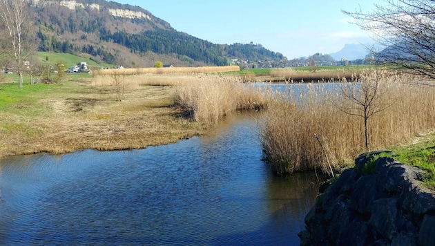 Der Egelsee wurde zwischen 2011 und 2013 zur Verbesserung der Hochwassersicherheit angelegt. (Bild: Bergauer)