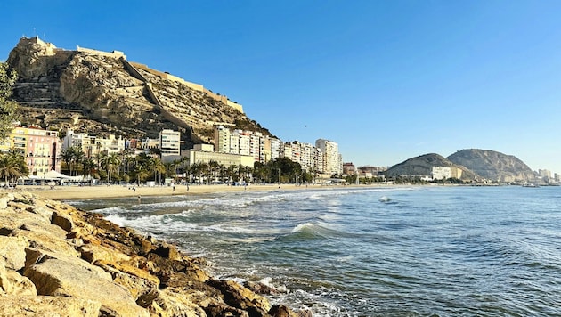 El paseo marítimo de Alicante invita a merodear, incluso a los estafadores millonarios de Austria. (Bild: Steiner Clara Milena)