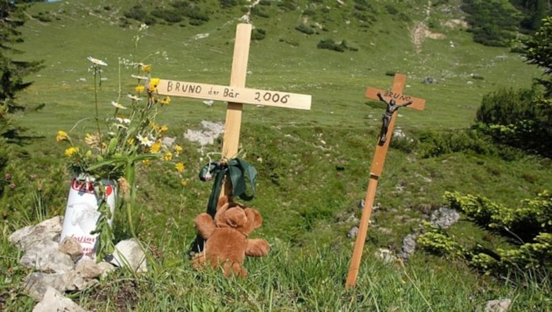 Kurz nachdem „Bruno“ alias „JJ1“ in Bayern erschossen wurde, errichteten Bärenfans an der Stelle eine Gedenkstelle. (Bild: dpa/A9999 Andreas Leder)