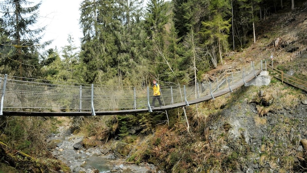 Nach Überqueren der Hinteren Hängebrücke geht es auf Kolsassberger Seite hinauf. (Bild: Peter Freiberger)