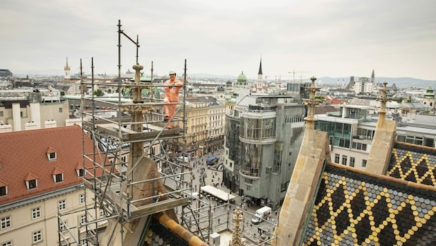 Hoch über den Dächern der Stadt arbeitet der Steinmetz des Stephansdoms. (Bild: Rainer Fehringer)