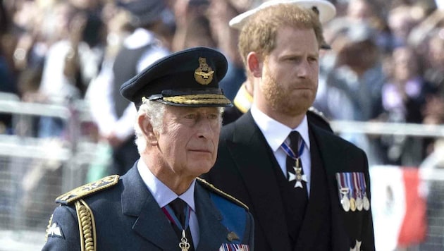 König Charles und Prinz Harry (Bild: www.PPS.at)