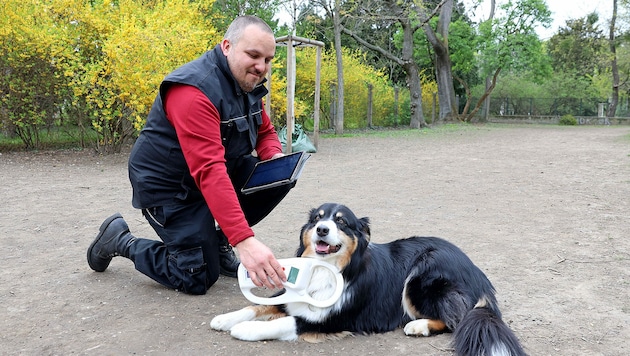 Fototermin "Hundeschwerpunktkontrolle" (Bild: PID/VOTAVA)