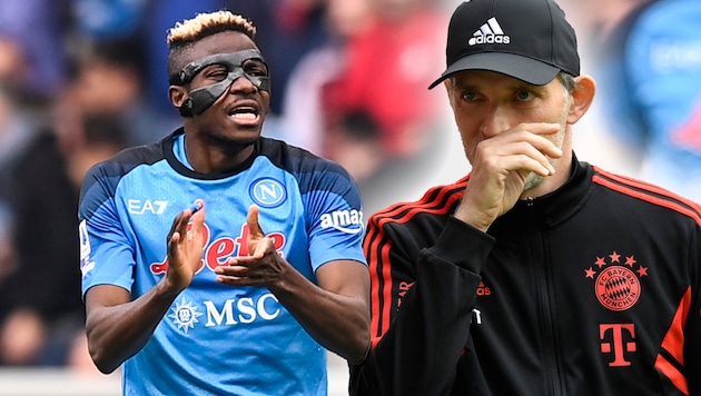 Thomas Tuchel (r.) wollte sich auf einer Pressekonferenz nicht zu Victor Osimhen äußern. (Bild: Fabio Ferrari/LaPresse via AP, APA/AFP/Thomas KIENZLE)