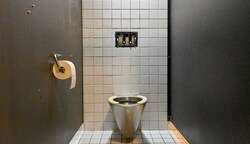 An der Donaulände beim Lentos fehlen in der öffentlichen WC-Anlage bei Herren wie Damen die Spültasterabdeckungen. (Bild: Dostal Harald)
