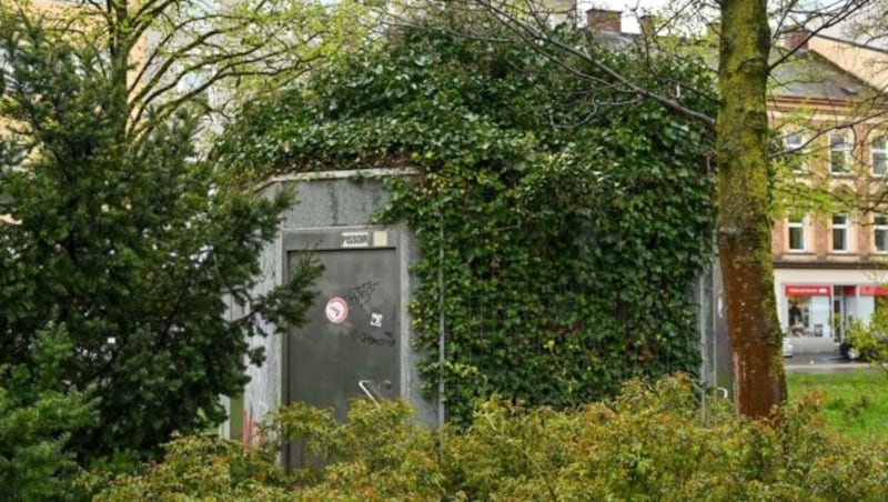 Das Klo im Hessenpark hat fast zur Gänze schon die Natur „übernommen“. (Bild: Dostal Harald)