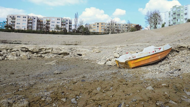 Zehn Meter ist seit 2010 der Grundwasserspiegel bei Wr. Neustadt gesunken. Der Anemonensee (Bild) war vor dem Regen ausgetrocknet. (Bild: EXPA/Max Slovencik)