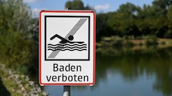 Seit 2016 ist das Baden im Steinbruchsee eigentlich verboten. Eine Bürgerinitiative kämpft dagegen an. (Bild: Wolfgang Spitzbart)