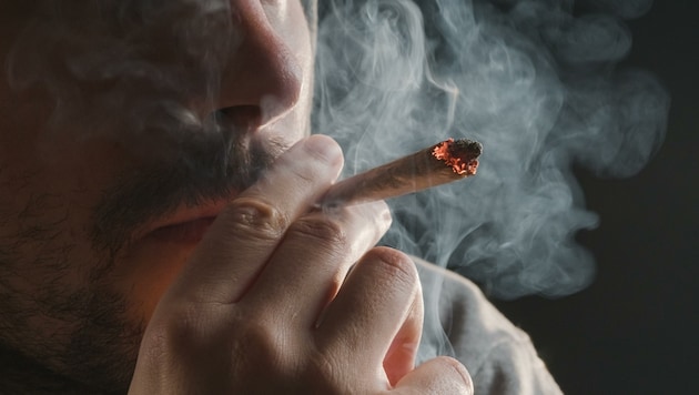 Cannabis ist laut Abwasseranalyse weiterhin in ganz Österreich die illegale Droge Nummer 1. (Bild: stock.adobe.com)