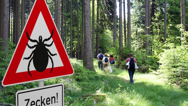 Man muss gar nicht tief in den Wald gehen - Zecken sitzen bevorzugt auf Gräsern und Büschen, also auch im Garten. (Bild: Adobe Stock)