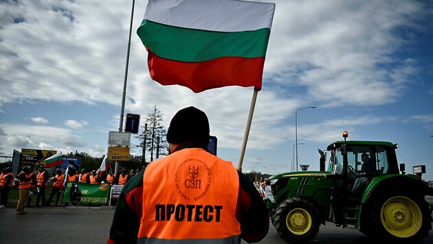 Mehrere EU-Staaten begehren gegen die zollfreien Exporte aus der Ukraine auf. (Bild: APA/AFP/Nikolay DOYCHINOV)