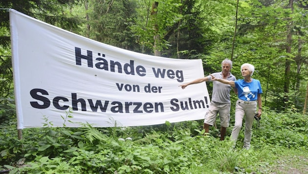 Eine unendliche Geschichte des Widerstandes: Au-Aktivistin Freda Meissner-Blau besuchte im Jahr 2013 das Protestcamp an der Schwarzen Sulm. (Bild: Dennis Bora)