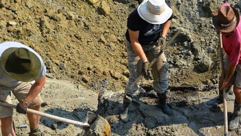 120 Parzellen in Weiden wurden untersucht, auf drei durfte schließlich nicht gebaut werden. (Bild: Andreas Rohatsch)