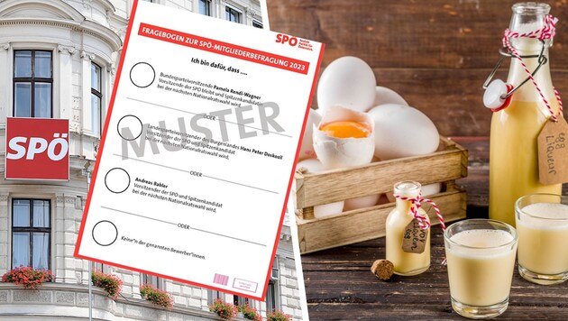 Stimmzettel der SPÖ und der aus Eiern hergestellte Likör (Bild: APA/Screenshot/heute.at., ©ricka_kinamoto - stock.adobe.com, Krone KREATIV)