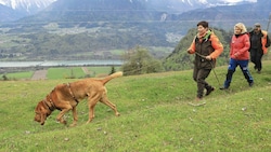 Bluthunde aus ganz Europa auf dem Radsberg. (Bild: Rojsek-Wiedergut Uta)