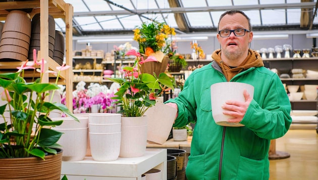 Sebastian Glasner ist einer von 24 Beeinträchtigten, die bei Bellaflora arbeiten. (Bild: Horst Einöder/Flashpictures)