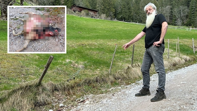 An dieser Stelle entdeckte Norbert Klingler den Kadaver. (Bild: ZOOM.TIROL, Krone KREATIV)