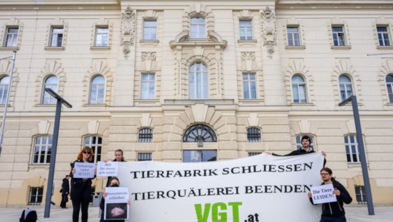 Der Verein gegen Tierfabriken (VGT) demonstrierte vor Prozessstart vor dem Landesgericht St. Pölten. (Bild: Attila Molnar)