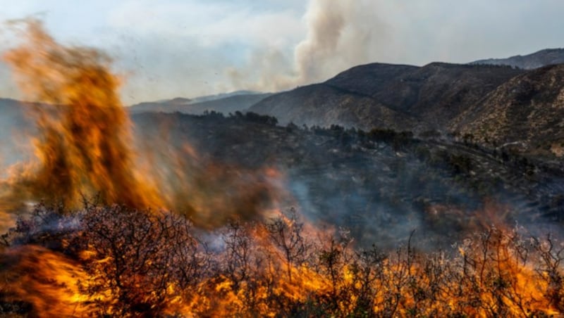 Waldbrand in Ostspanien im vergangenen August (Bild: The Associated Press)