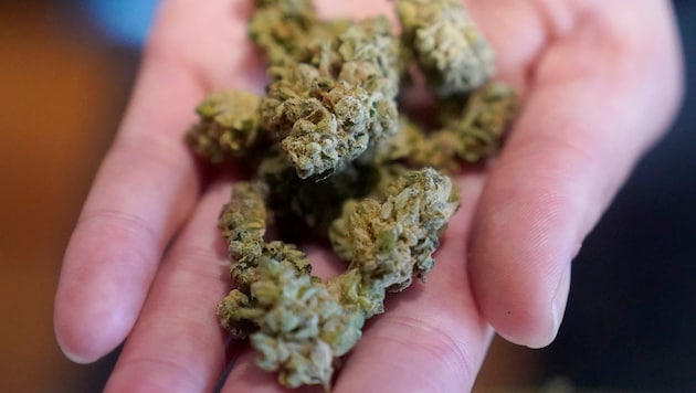 Cannabis symbol image (Bild: AP)