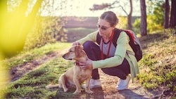 Immer, wenn Sie mit Ihrem Hund im Freien unterwegs sind, können Zecken das Tier befallen. (Bild: stocka.dobe.com)