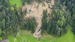 Großer Hangrutsch in Hörbranz (Bild: Christian Gantner)