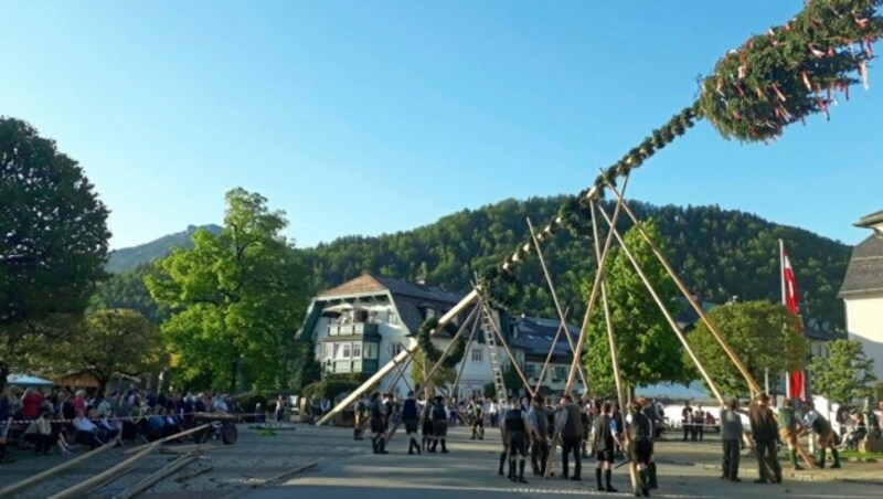 Und Hoch den Baum. Vor dem Gasthaus Brugger in Maria Rojach hat der Kegel und Eisschützenverein sogar einen steht sogar einer mit zwei Wipfeln hingestellt. (Bild: D´Bleckwandla)