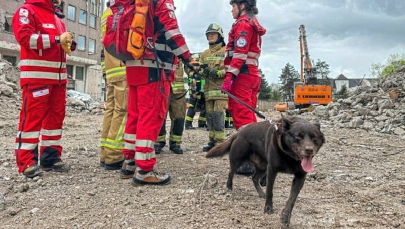 In Salzburg-Stadt stürzte ein Gebäude ein - Suchhunde rückten aus. (Bild: Markus Tschepp)