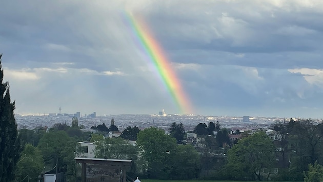 Ein Leserreporter schickte dieses Foto mit dem beeindruckenden Regenbogen über Wien. (Bild: Leserreporter)