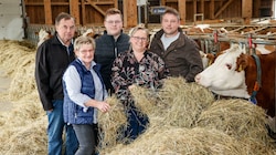 Familie Schauer lebt auf ihrem Erbhof Franzbauerngut in Berndorf von ihren Milchkühen. (Bild: Tschepp Markus)