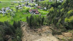 Der Hangrutsch sorgte für eine Spur der Verwüstung. (Bild: Feuerwehr Hörbranz)