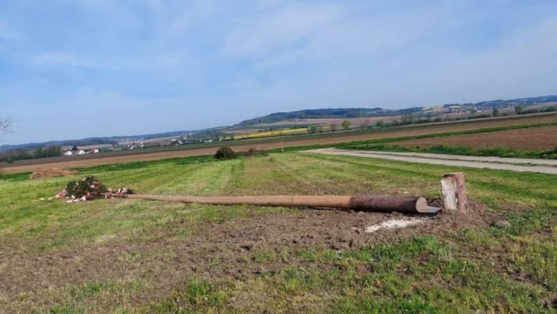 Im St. Pöltner Ortsteil Ragelsdorf ließen Unbekannte den Maibaum auf einem Feld zurück. (Bild: FF St.Pölten - Ragelsdorf)