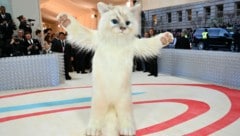 Jared Leto zollte Karl Lagerfeld bei der Met-Gala als Choupette Respekt. (Bild: APA / Photo by ANGELA WEISS / AFP)