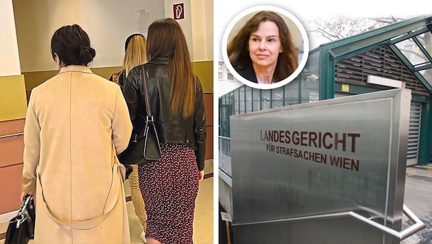 Mit Sophie Karmasin ist in Wien erstmals eine frühere Ministerin angeklagt. Eine von vielen weiblichen Angeklagten ... (Bild: Sophie Pratschner, Martin Jöchl, Sepa Media, Krone KREATIV)