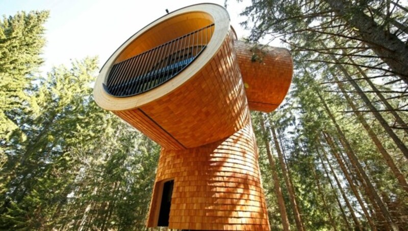 Ein Hideaway mitten im Wald: übernachten in einem der vier Baumhäuser am Pogusch. (Bild: Reinhard Holl)