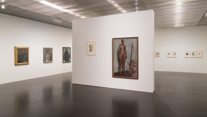 Blick in die Ausstellung im Lentos Kunstmuseum an der Donau (Bild: Reinhard Haider)