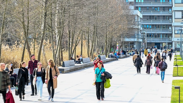 Am JKU-Campus kämpfen zwei Drittel der Studierenden mit Geldsorgen (Bild: Dostal Harald)