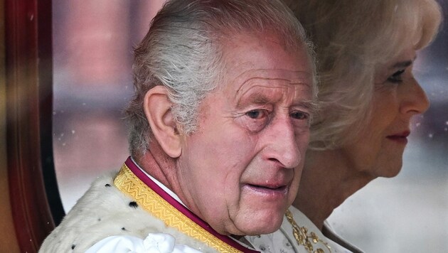 König Charles fand den Treueschwur „abscheulich“. (Bild: AFP)