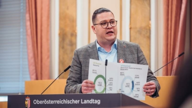 „Leistbarer Strom sollte unser aller Ziel im Landtag sein“, wirbt Thomas Antlinger, Energiesprecher der SPÖ im Landtag, für ein neues Preismodell. (Bild: MecGreenie)