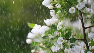 Typisches Aprilwetter wird in den kommenden Tagen die Witterung in Österreich bestimmen. (Bild: kichigin19 - stock.adobe.com)