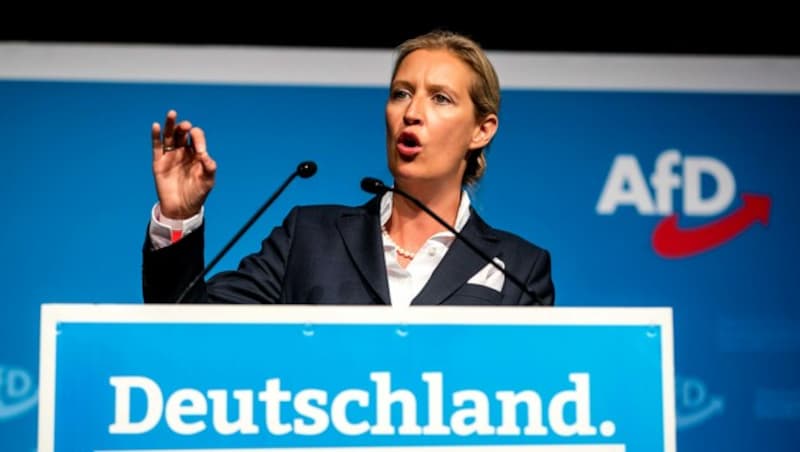 Alice Weidel (Bild: APA/dpa/Christoph Schmidt)