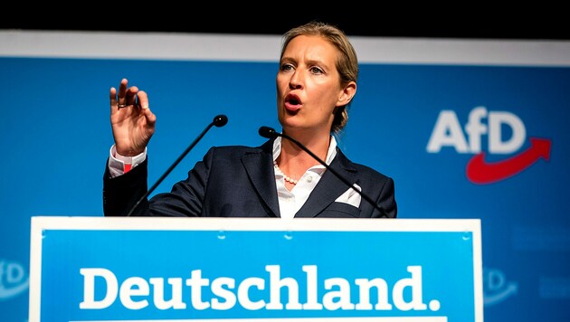 AfD-Chefin Alice Weidel (Bild: APA/dpa/Christoph Schmidt)