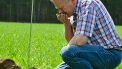 Die Gesundheit der Erde ist nicht nur in der Landwirtschaft entscheidend. (Bild: Humusbauern/Karl Bartl)