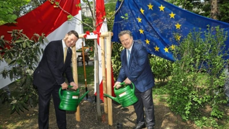 Am Dienstag pflanzte Bürgermeister Ludwig mit EU-Kommissionsvertreter Selmayr einen Baum im Rathauspark. Hoffentlich ergeht es ihm besser als den meisten Bäumen in Wiens Gemeindebauten. (Bild: Jöchl Martin)