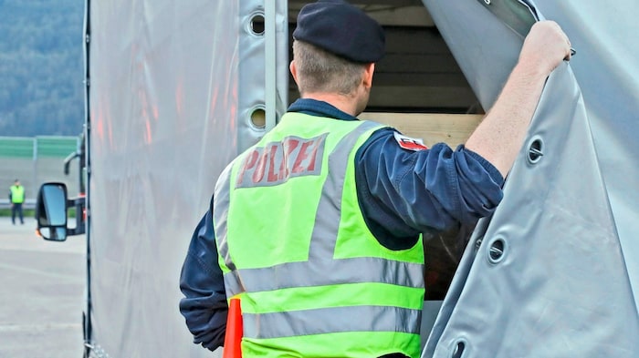 Puppy traders operate skillfully, and the employees of the authorities need to be trained ...