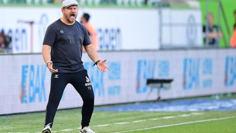 Köln-Trainer Steffen Baumgart (Bild: GEPA pictures)