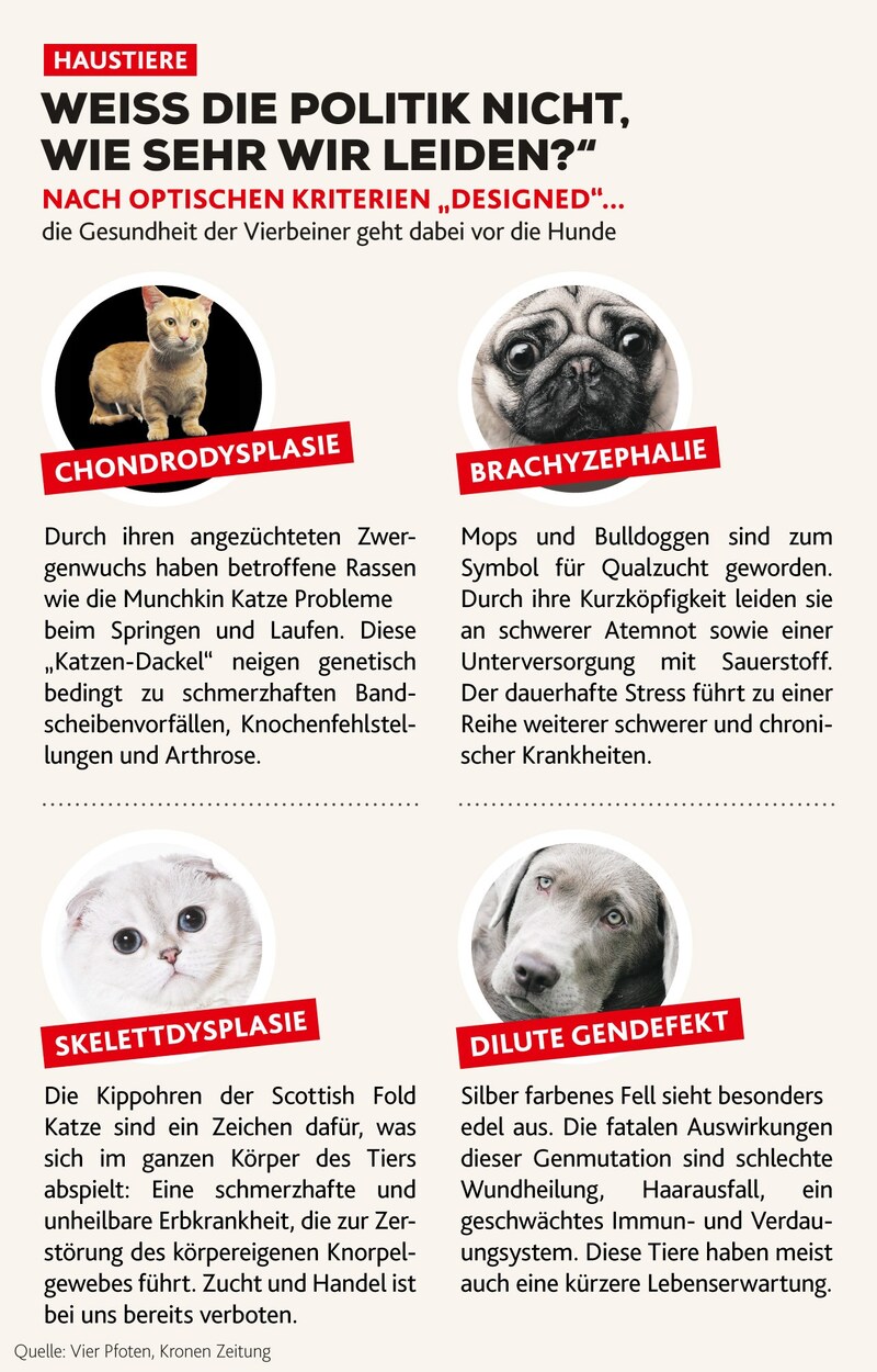 (Bild: stock.adobe.com, Krone KREATIV)