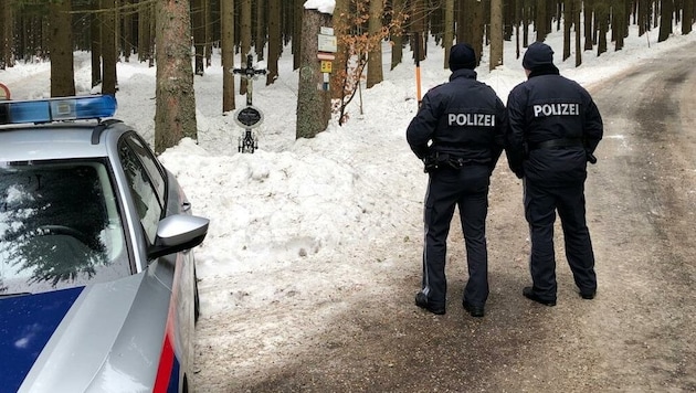 Stefanie, who was 19 at the time, was murdered by her boyfriend in this wooded area. (Bild: Jürgen Pachner)