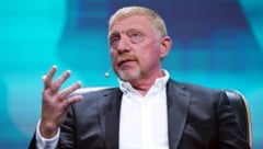 Boris Becker (Bild: APA/dpa/Marcus Brandt)