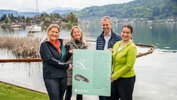 Antje Güttler und Susanne Timmerer (Österreichische Bundesforste) sowie Mario Zanker und Silvia Häusl-Benz (Gemeinde Pörtschach) vor dem neuen Schilfschutzzaun am Wörthersee. (Bild: ÖBf Stabentheiner)